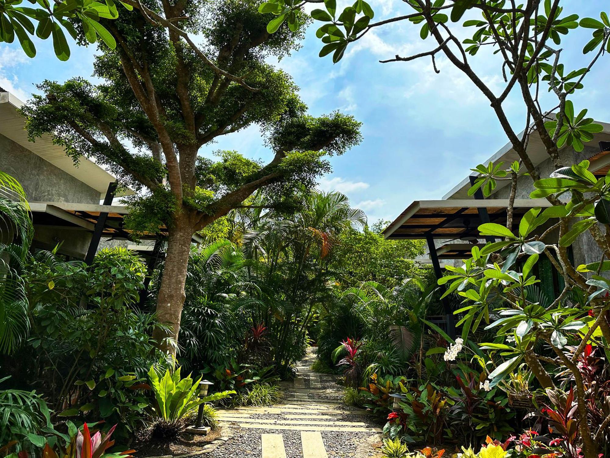 Dreamville Koh Phangan Thong Sala Extérieur photo