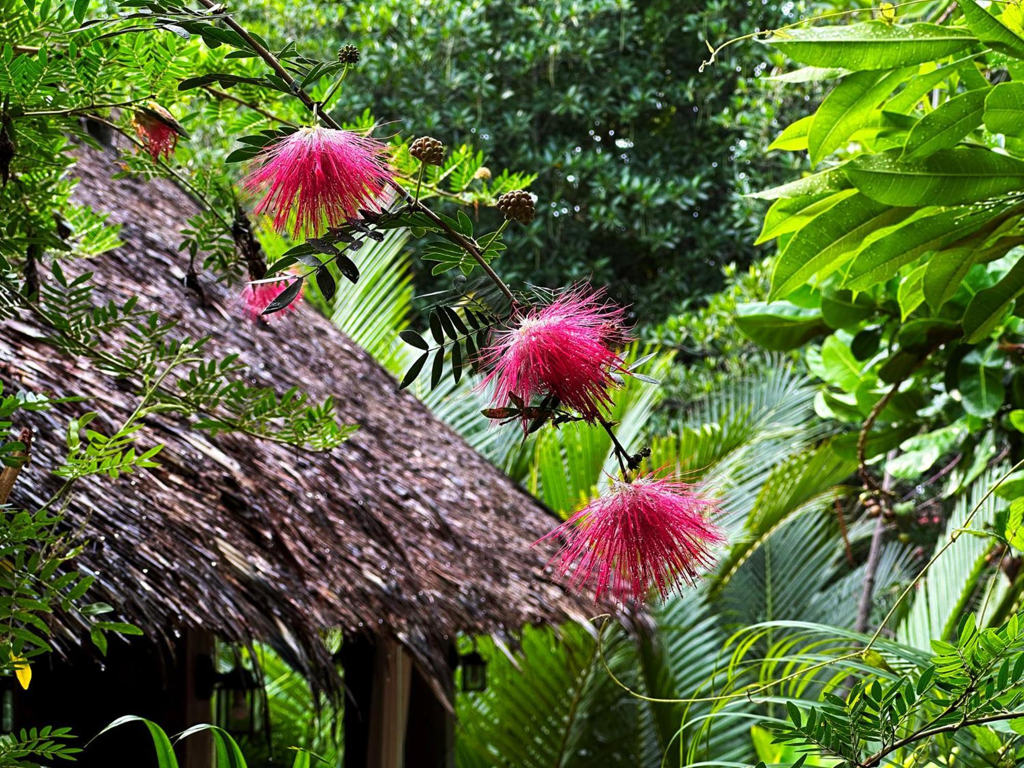 Dreamville Koh Phangan Thong Sala Extérieur photo